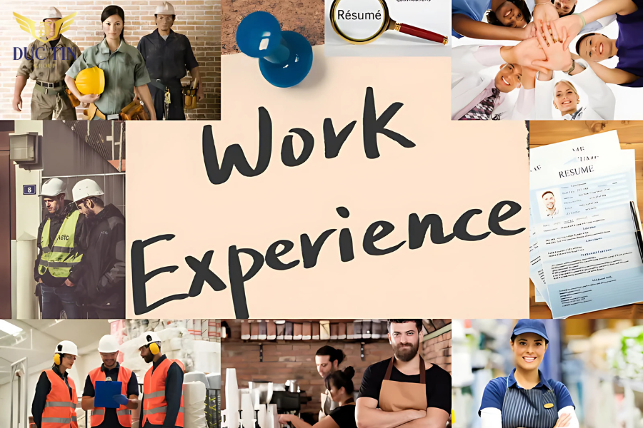 EXP cũng có thể là Work Experience - Kinh nghiệm làm việc